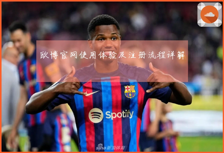 欧博官网使用体验及注册流程详解