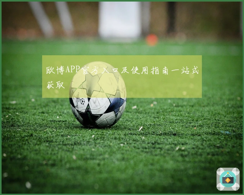 欧博APP官方入口及使用指南一站式获取