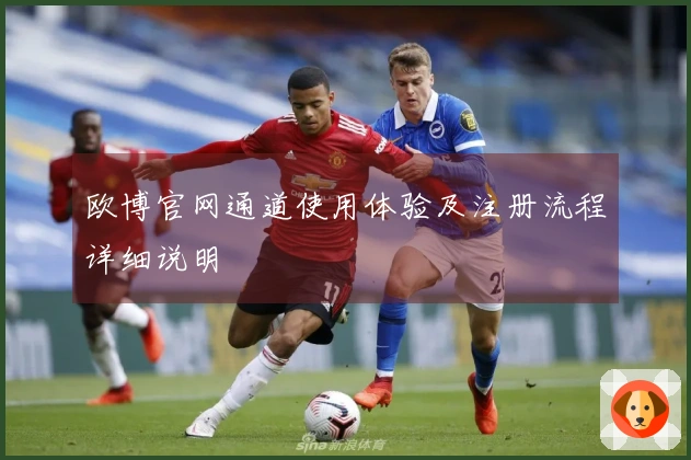 欧博官网通道使用体验及注册流程详细说明