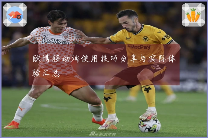 欧博移动端使用技巧分享与实际体验汇总