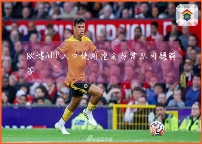 欧博APP入口使用指南与常见问题解答